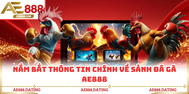 Nắm bắt thông tin chính về sảnh đá gà AE888